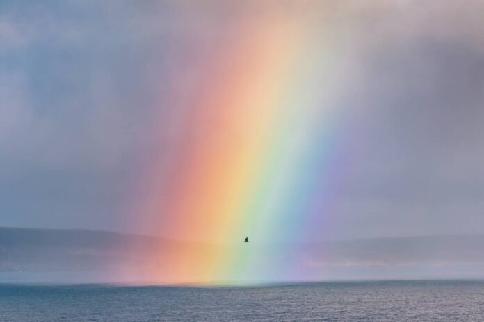 Les significations cachées des couleurs de l'arc-en-ciel